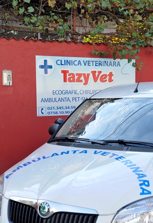 Tazy Vet - clinica veterinara